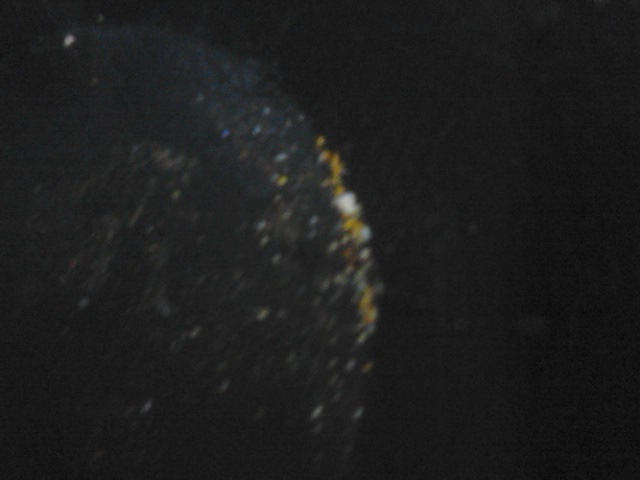 DSC_0193.jpg