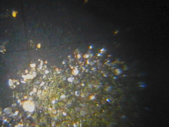 DSC_0219.jpg